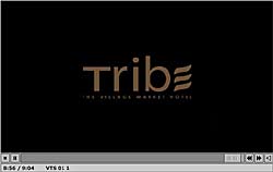 The TRIBE video